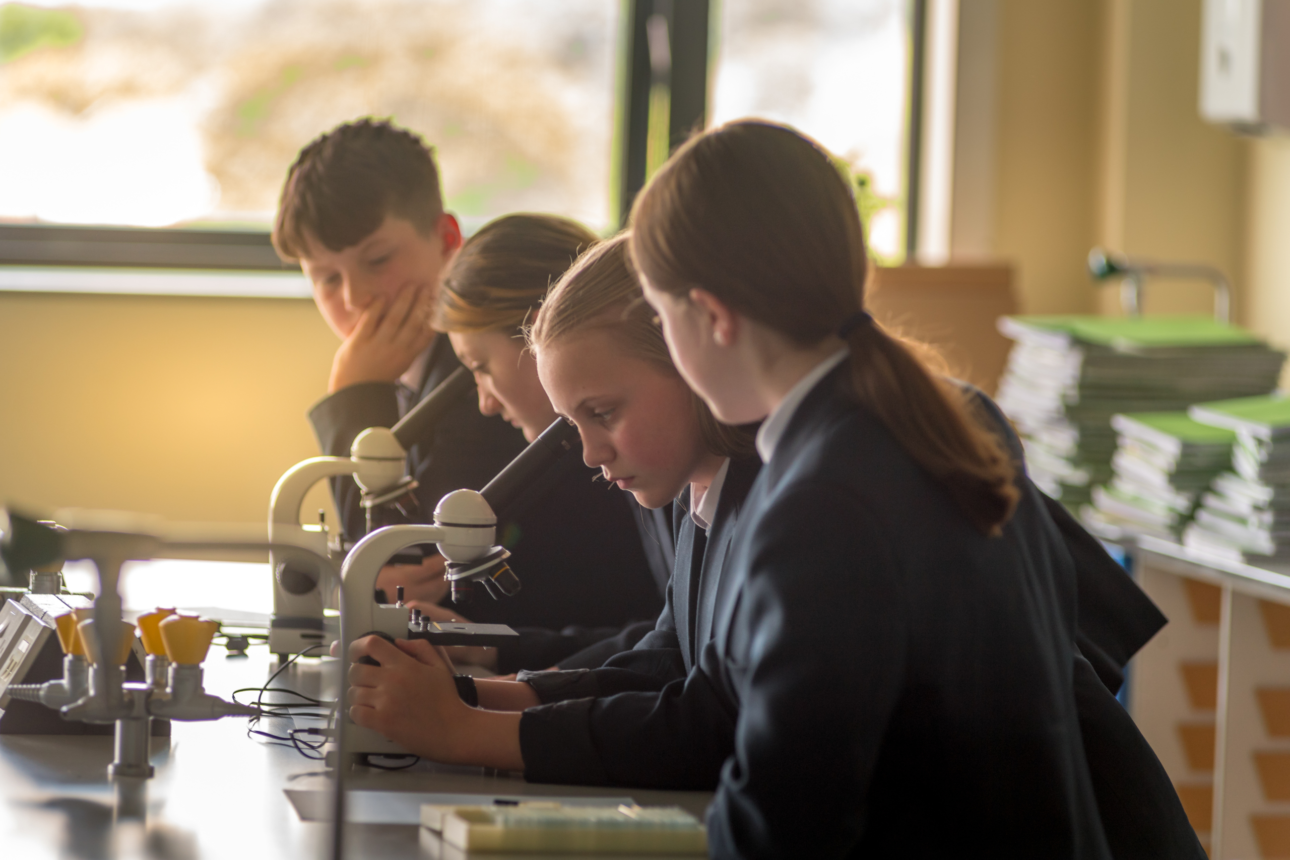 Curriculum Overview